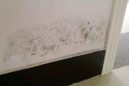 新住家居|这些网红清洁大法，学到第三个我就泪崩了！
