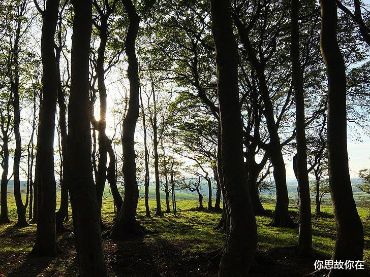 你思故你在 到处出差的日子带给我的人生体验，有苦有累有欢笑，且快速成长