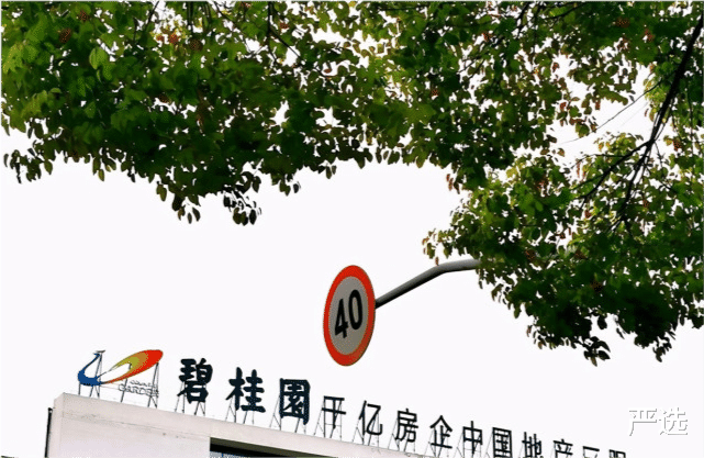 严选 她坐拥财富2150亿，身价相当2个王健林，现在靠地球仪又赚上百亿