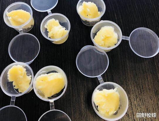 田野牧蜂|雨季买蜂王浆好不好? 蜂王浆买什么样的?