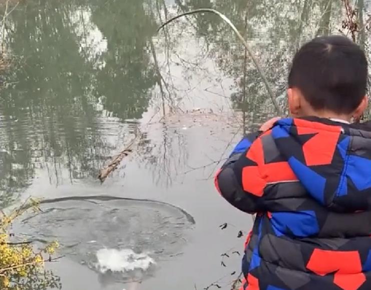 渔业|湖北一萌娃拿树枝当鱼竿，抛竿10秒后轻松钓上大鱼，网友评论亮了