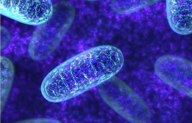 科学家 人类能实现永生吗？科学家：方法已找到，但不敢贸然尝试