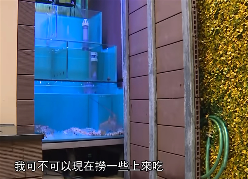 徐淑敏|港姐徐淑敏和黄浩夫妇371㎡别墅，200W装修厨房，3层住宅豪气逼人