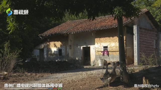 天津市|惠州：一间老屋 两本土地使用证？产权究竟归谁？