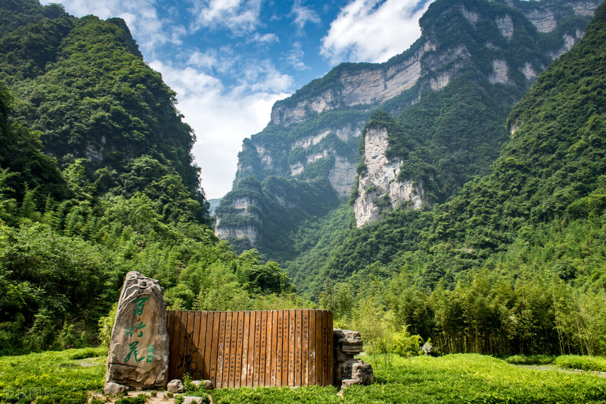 古镇 国内值得一去的5处竹海，大自然的电冰箱，度假避暑的好去处