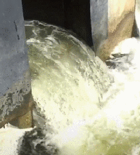 |“爬山的过程中消耗体力不少，于是看到眼前这一幕！”哇哈哈，从哪下口？