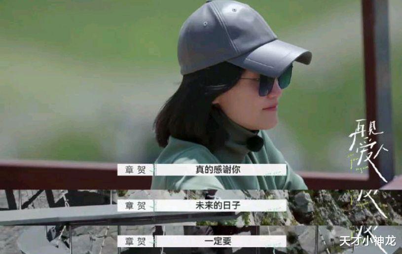 郭柯宇|章贺郭柯宇《再见爱人》：十年婚姻“互相伤害”，观众喊话劝复合