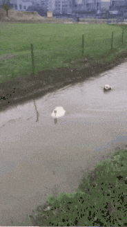 萌控孩|女朋友和她的闺蜜喝多了直接躺地上,我到底该怎么办呢?哇哈哈