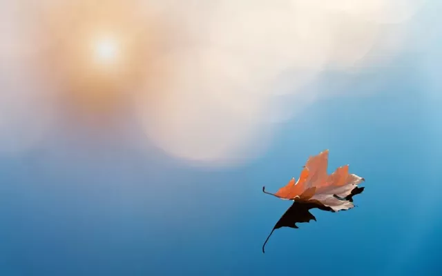 艾灸|身体生病前会出现的7个信号，有一个，都是坏事！