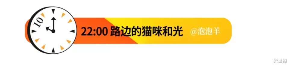 新世相 深夜11点上海烟花刷屏，拯救你的是温柔