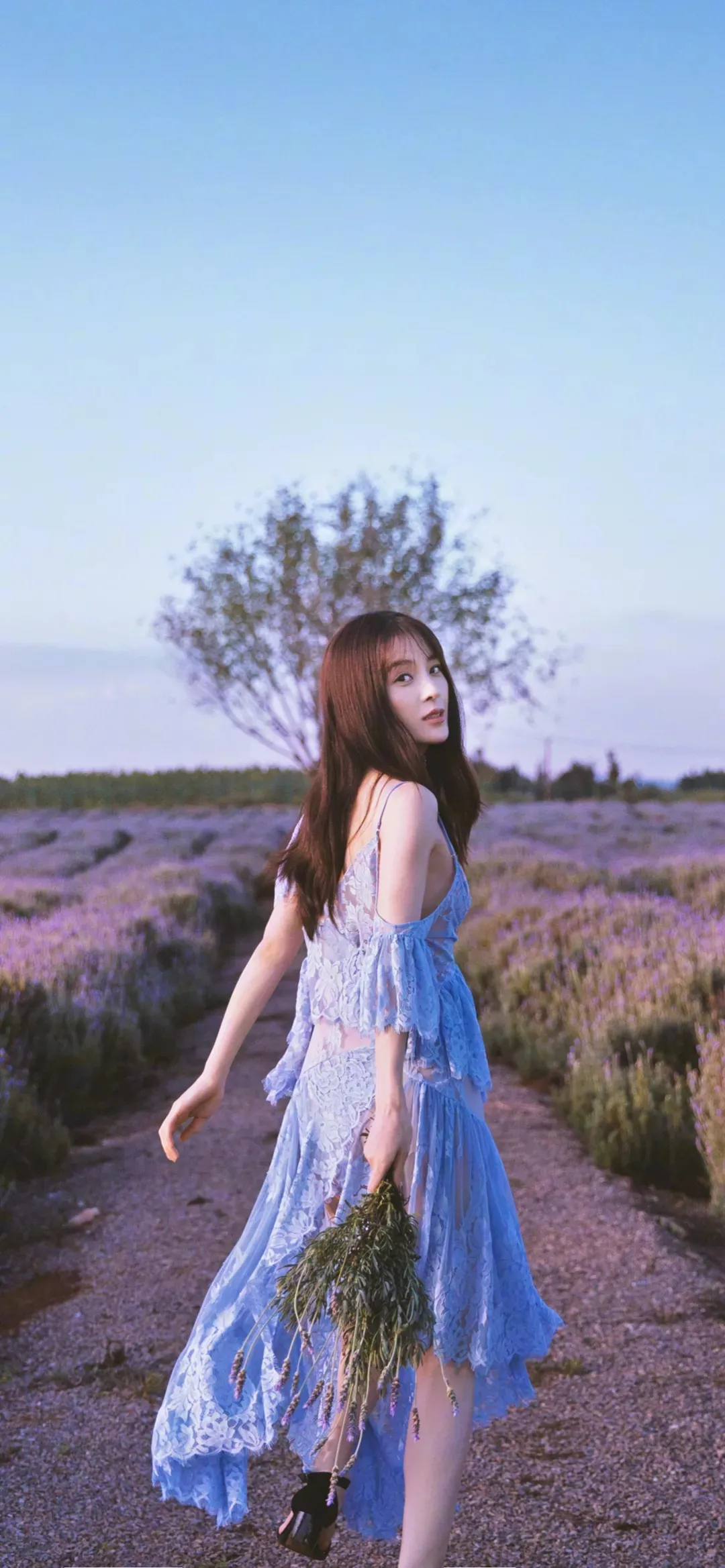 李嫣|明星壁纸杨紫、赵韩樱子、关晓彤