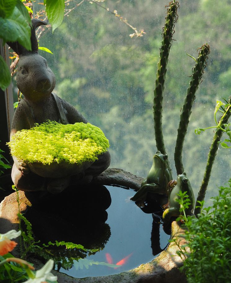 7㎡小阳台，改造成19楼的空中小花园，天天宅在家不想出门了