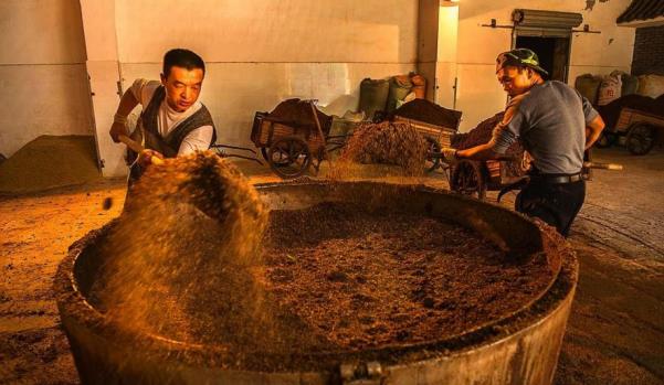 豌豆妈妈说教育|当茅台王子和茅台迎宾有什么不一样？哪款更值得买？