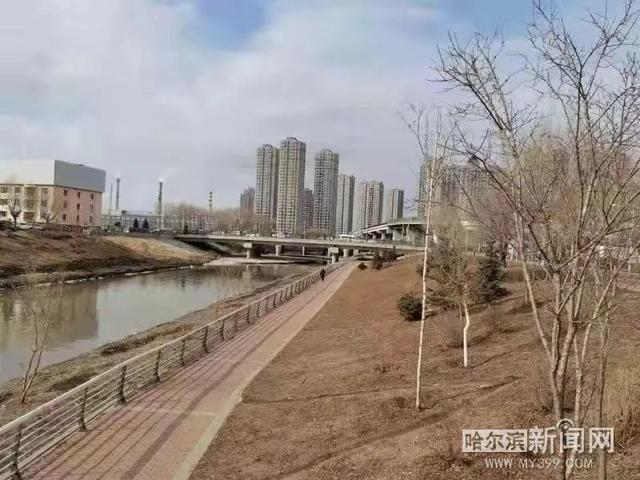 哈尔滨新闻网 清理垃圾杂物10余吨!马家沟沿岸道外段启动春季环境整治