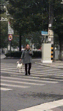 书尽心生|神回复:“成语都是古代发明的,有没有现代发明的成语?”哈哈哈