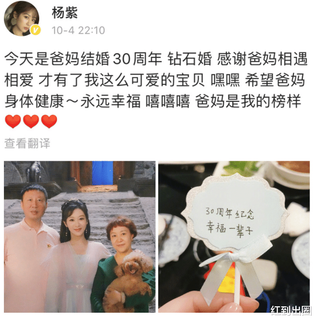 杨紫|杨紫晒照庆祝爸妈结婚30周年！一家人外出聚餐，爸爸帅气妈妈优雅