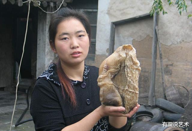 卫星 “太岁”，是动物还是植物？为什么又叫“肉灵芝”？