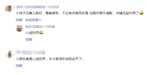 微社评 福建男童被疯牛撞击躲入车底，道歉称对不起牛大哥，别打我好不好