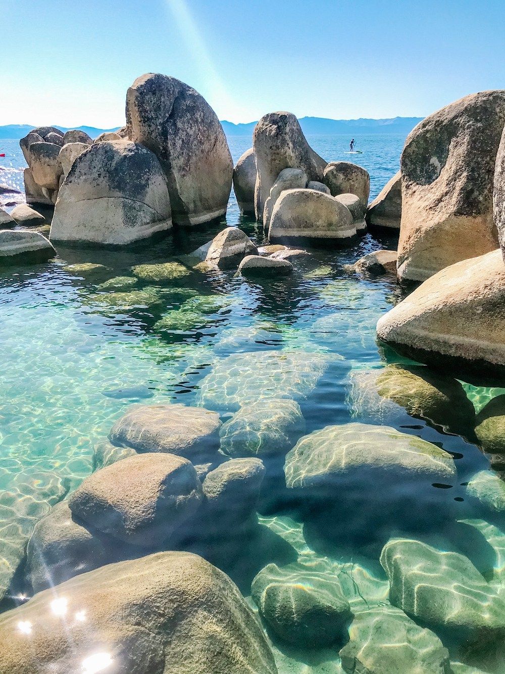 小米|如果使用酒米钓鱼有段位，直接打窝垂钓仅仅是青铜级别（精髓）