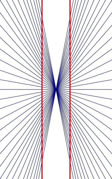 瓢虫 你真的了解你的眼睛吗？关于眼睛，你不知道的那些事！
