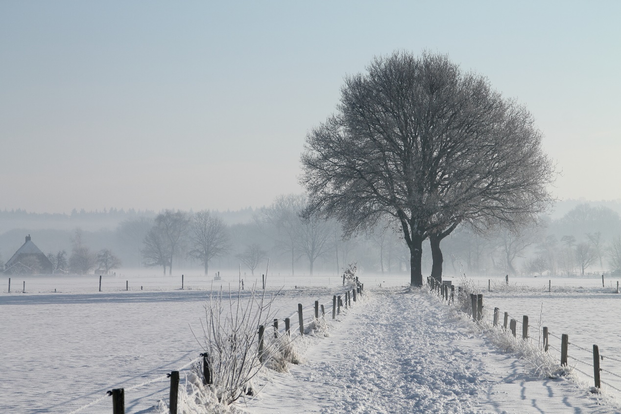 心安密码 不要让自己成为下一个祥林嫂