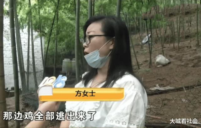|房东眼红租客赚钱，第2年要涨7倍房租，被拒后放走1500只鸡