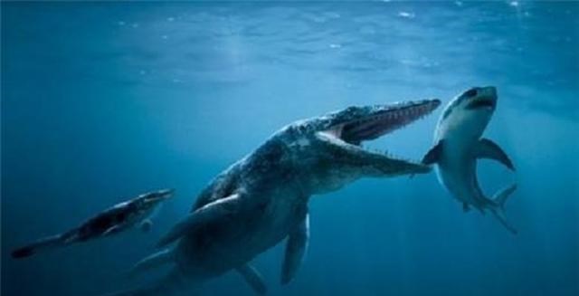 喀纳斯湖 喀纳斯湖多次出现水怪，传言能一口吞牛马，是大红鱼还是狗头鱼？