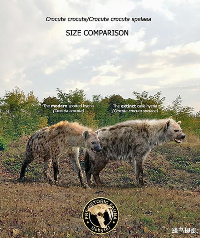 灭绝动物 36张罕见的灭绝动物对比照，它们要是活着，应该没人类什么事了