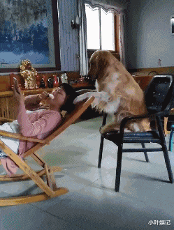 小叶娱记|女朋友把我绿了！当天就赔给了我一个新女朋友，太刺激了