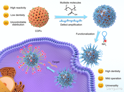 纳米 具有键合缺陷放大修饰策略的基于共价有机框架的球形核酸探针
