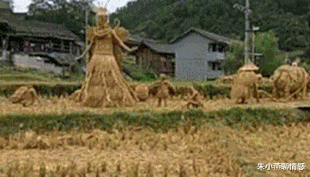 朱小燕聊情感|“网友说,他老婆出差的时候,给他带了一些绿色的橘子!”神评扎心了哈哈哈