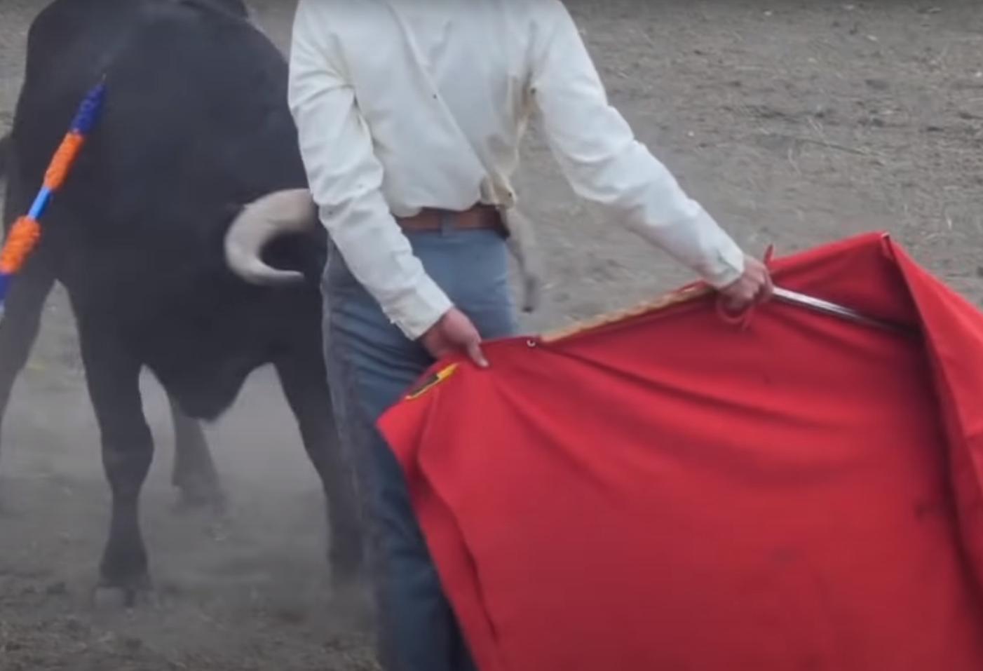 驯鹿 10个流传很广的谎言，你还在相信吗？