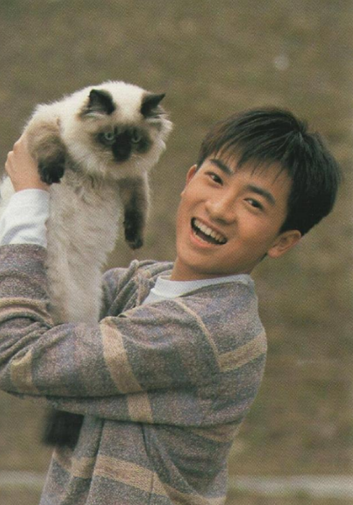 小虎队|小虎队解散内幕，没你想的那么简单，今生再难重组