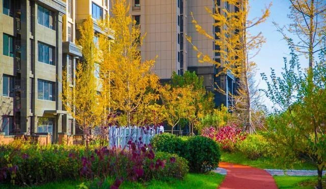 天明情感说 双11的购物车,装不下涞水的时光标本