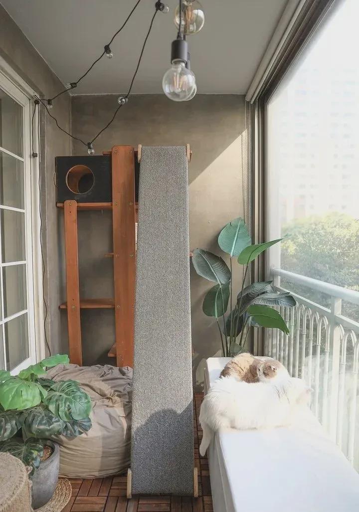 83平新房入住5年，每天都在不断的变化！家居体验爽，生活超美