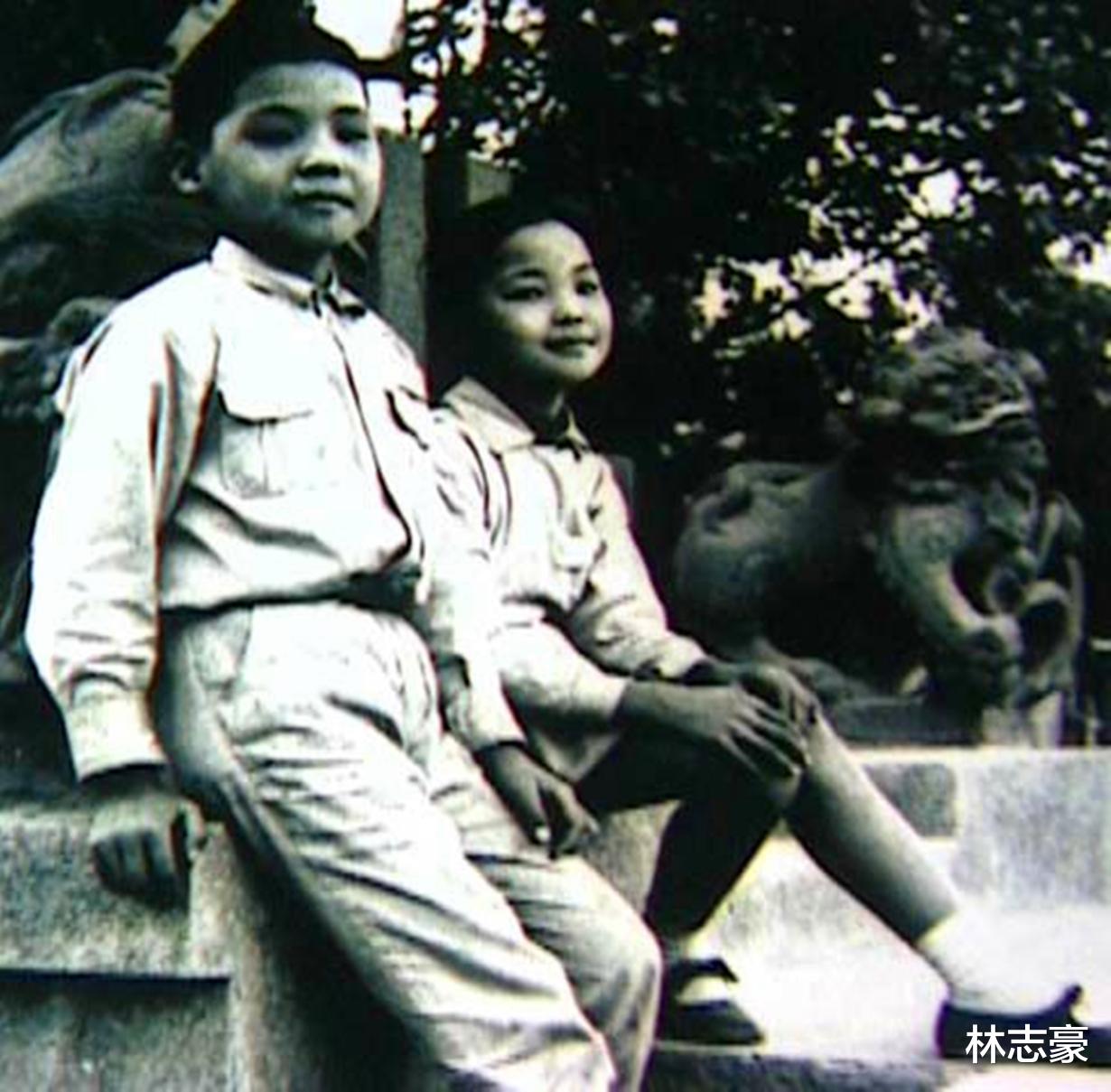 林青霞|王祖贤18岁，林青霞18岁，沈腾18岁，刘德华22岁，谁的青春最美？