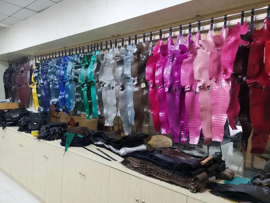 鳄鱼 你真的了解鳄鱼皮吗？