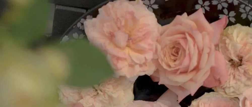 种在海底的星河|我累了，在这段不平等的关系中