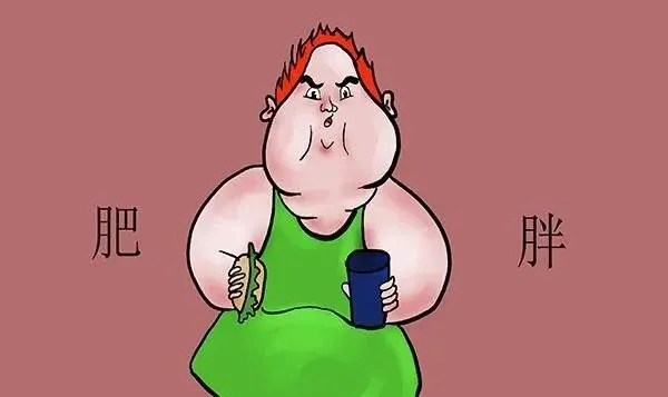 米饭|易长肉的主食公布，米饭不在列，想减肥的人，尽量少吃或不吃