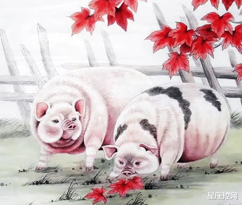 |1月开工大吉，职场发展顺利，年内喜提车与房，做个有钱人的生肖