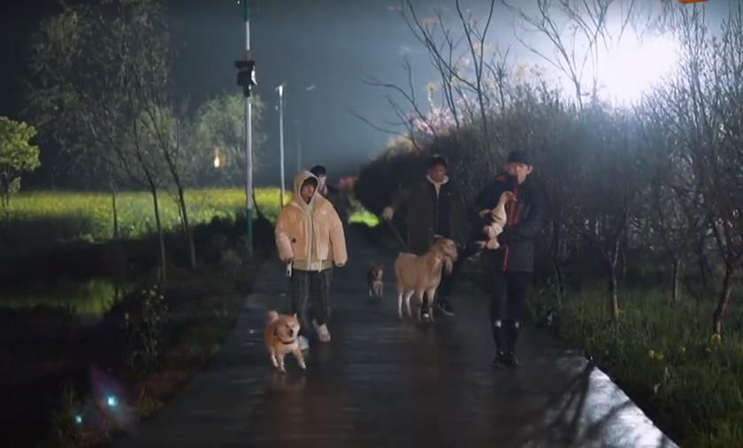 何炅|《向往的生活5》：蘑菇屋条件艰苦？何炅无心之言，扯下遮羞布