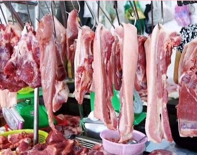 小小潮潮 中华土猪面临绝种危机,那些被遗弃的中华土猪,还能翻身吗?