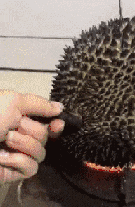 汽车|“日本天皇19岁独生女照片流出,网友纷纷炸锅了!”