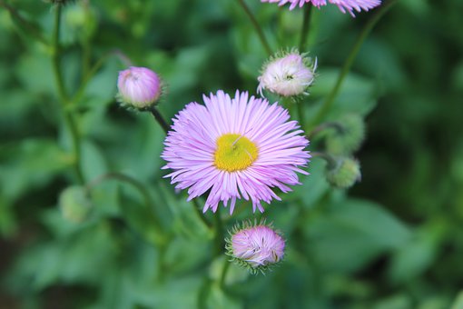 宇录良言|通透走心的人生感悟短语,精致深刻,句句受用