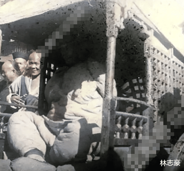 |历史过目难忘彩照，攻陷宁波的太平军，成群的御前带刀侍卫，撸着猫抽鸦片