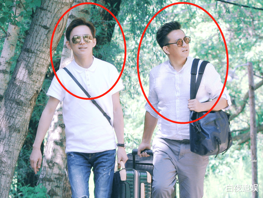 张子枫|为何只选张子枫当常驻？《向往》导演的要求，多数女艺人都做不到