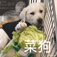 “我家邻居盖了栋豪宅，弄的我家变成了他的厨房…”