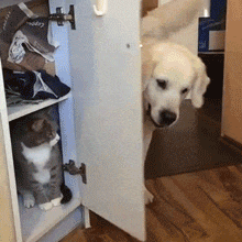 萌萌萌说|“女友在酒店给我拍回来照片,但就感觉不对劲!”你们帮忙看看吧