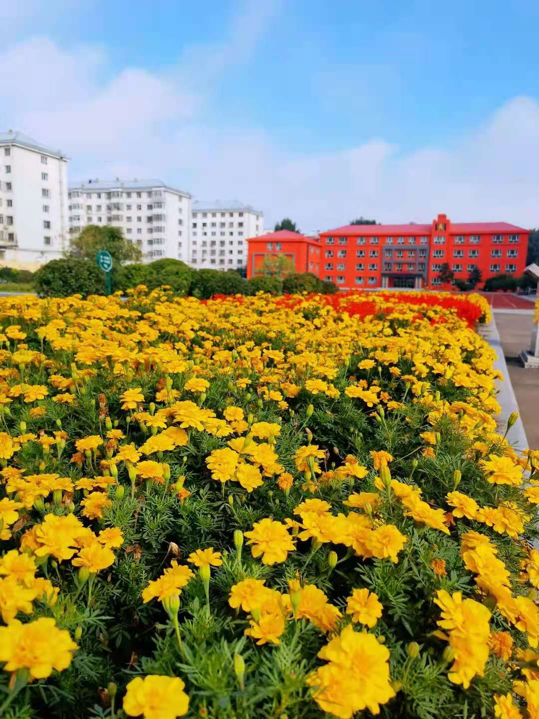 桃子甜美人生|你好!九月!你好,开学季!