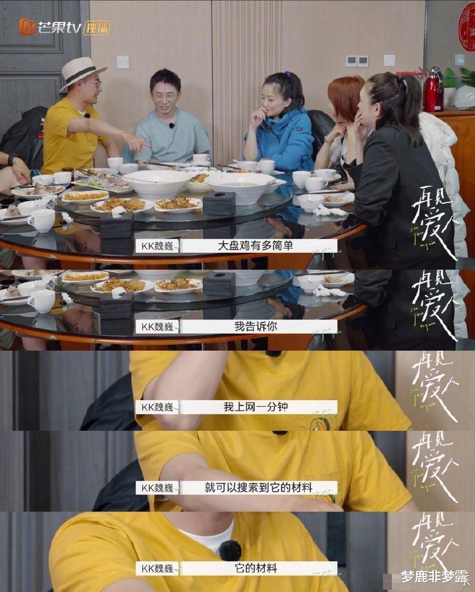 梦鹿非梦露|《再见爱人》魏巍：你说我错，那我就耍赖